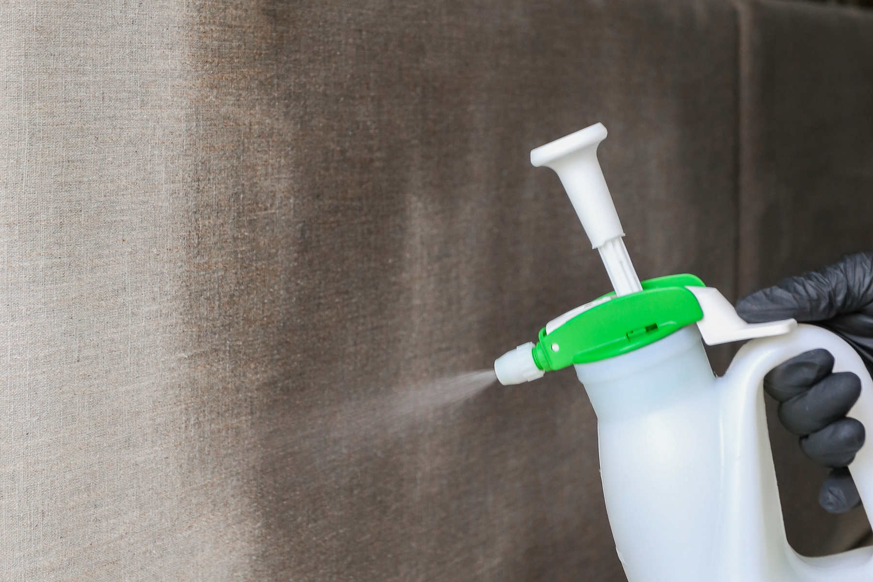 Now Up Clean - Higienização e Limpeza de Estofados